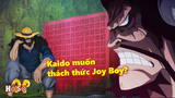 Sinh vật mạnh nhất muốn thách thức Joy Boy? Kaido có thực sự là phản diện?