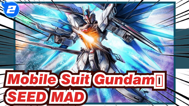 Mobile Suit Gundam|[SEED/MAD]Here Comes the Man Who Symbolizes Freedom!_2