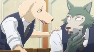 【Animal Rhapsody/BEASTARS】กิจวัตรของ Melaleuca ของ Young Taming and Dyeing