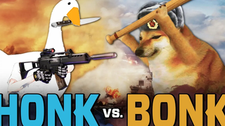 HONK vs BONK