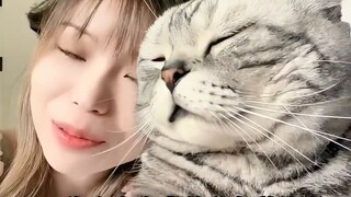 Mereka yang mengetahui keadaan terkini adalah kucing tampan, dan kucing tampan tidak akan langsung m