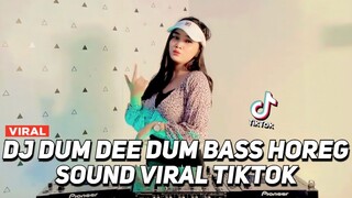 DJ DUM DEE DUM BASS HOREG X SAKIT SAKIT HATIKU VIRAL TIK TOK JEDAG JEDUG FULL BASS TERBARU 2023