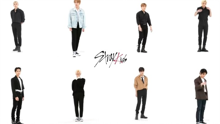 【Stray Kids】"แต่ละคนเต้นในแบบของตัวเอง"คนบ้า