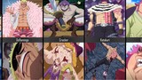 One Piece Characters Before & After Fighting Luffy!