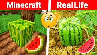 Minecraft in Real life it's a realistic