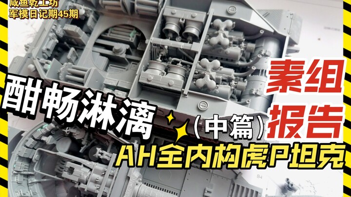 军模日记期45期—AH全内构虎P素组报告，就是一个酣畅淋漓极度舒适的素组！满赞66更新！
