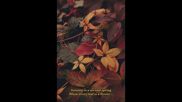 (FREE) Lo-fi Type Beat - Autumn Morning