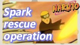 Spark rescue operation
