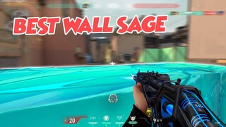 Best Wall Sage | Valorant Montage #6