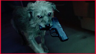 Dog Wick. 🐕🔫 Short Video Clip.