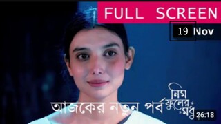 Neem phooler Madhu 19 November 2024 today full episodes.. ..নিম ফুলের মধু আজকের পর্ব..(episode 729 )