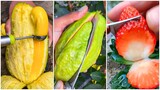 😍Farm Fresh Ninja Fruit #2 | Tik Tok China | (Oddly Satisfying Fruit Ninja)