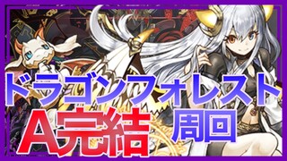 【パズドラ】チュアンを目指してマルチ周回【無理矢理A完結】