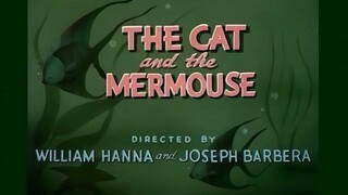 The Cat and the Mermouse