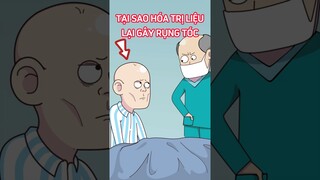 Tại sao hoá trị liệu lại gây rụng tóc #short #trithucplus #trithuc