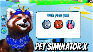 ROBLOX PET SIMULATOR X