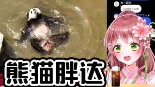 日本萝莉女仆看《大熊猫夏季迷惑行为大赏》被萌化了