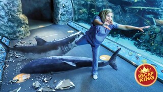 Sea creatures in an aquarium park become zombies after a scientific accident and attack the workers
