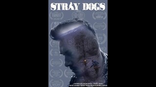 Stray Dogs