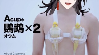 【Luxiem整活】Luxiem宣传超级bra广告疑似泄露