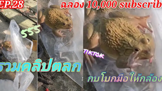 EP28  รวมคลิป ตลก (ฉลอง 10000 subscribe) T Tham channel