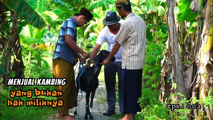 MADURA LUCU.// MENJUAL KAMBING .  .:EPS::002