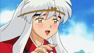 [ InuYasha ] Collection • Dogs in heat