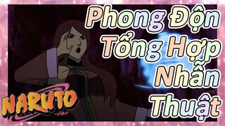 Phong Độn Tổng Hợp Nhẫn Thuật