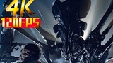 Drama|Monster Movie|Human VS. Alien Queen