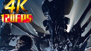 Film dan Drama|Film Monster-Manusia Vs Ratu Xenomorph