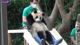 Panda Fu Bao: Learning Sliding with the Keeper