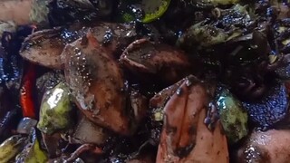 yuk masak cumi hitam enak banget