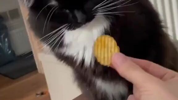 A Micin