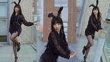 【细菌】中国人翻跳韩国人唱的日语歌| Bunny Style! 黑兔复古摇