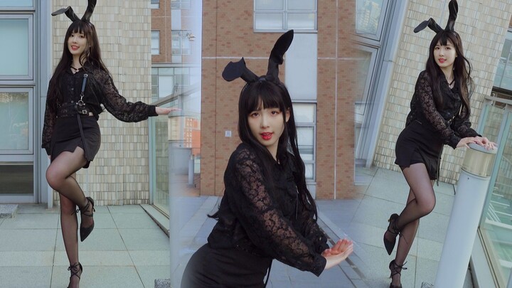 [Vi khuẩn] Bản cover tiếng Nhật của người Hàn Quốc được hát bởi Bunny Style!