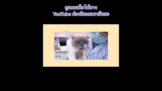 พาพี่ชิเอลไปตรวจสุขภาพงับ