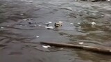 Sukabumi sori tadi banjir