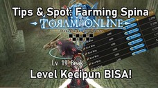 Toram: Tips Dan Spot Farming Spina Mudah Bagi Pemula