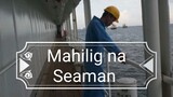 Mahilig na seaman storyline