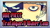 [ONE PIECE]Trafalgar D. Water Law