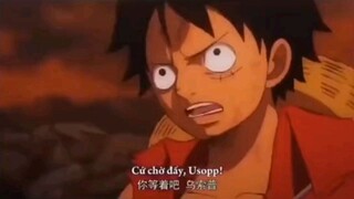 Luffy đứng ra bảo vệ tất cả mọi người  Lễ hội Hải tặc #onepiece