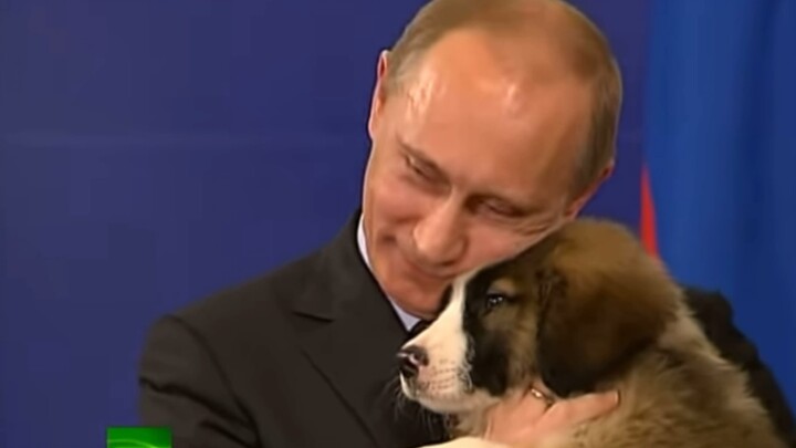 Pada tahun-tahun itu, anjing-anjing itu diterima oleh Kaisar Putin