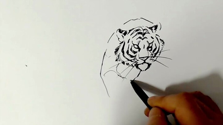 Video asli】 Cara menggambar harimau dalam garis putih (menengah)_Video asli master saya