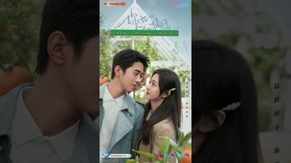 20 DRAMA CHINA KISAH CINTA PRIA KAYA & GADIS MISKIN #missceriwis #cdrama