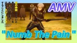 [Banished from the Hero's Party]AMV |  "Numb The Pain "