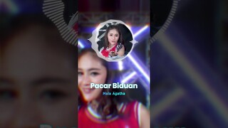 New Release, Mala Agatha - Pacar Biduan #malaagatha #dj #dangdut