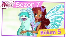 Winx Club - Sezon 7 Bölüm 5 - Geçmişten Bir Dost