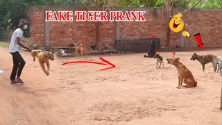 Fake Tiger vs Prank Multiple Dogs So Funny Try Not to stop Laugh 2021