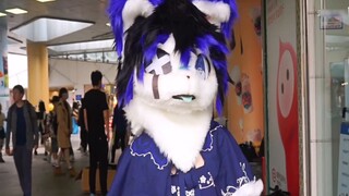 [Manzan Beast Costume] มี*ว์น่ารักมากมายให้ดูดพร้อมกัน! คุณรู้มากแค่ไหน?