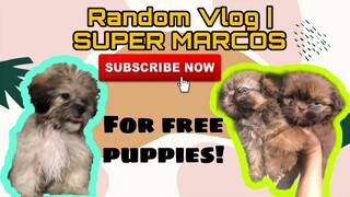 MEMA VLOG | SUPER MARCOS VLOGS